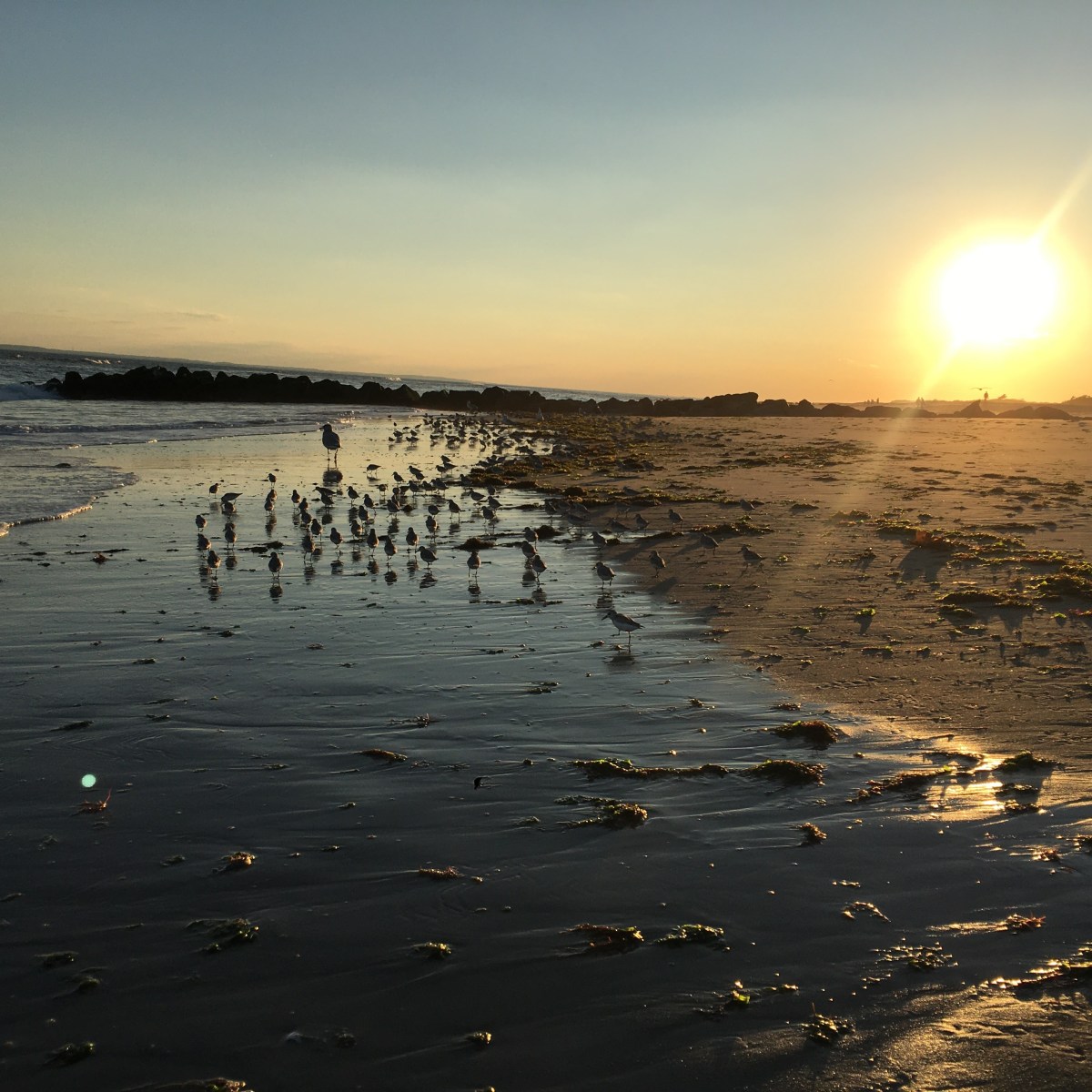 This Just In: End-Of-Summer Hiatus!