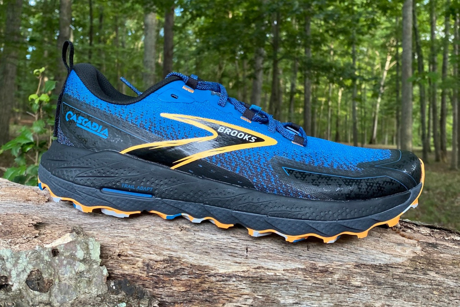 Brooks Cascadia 18 Review: Back on the Mountain