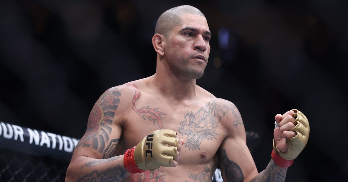 Chael Sonnen expects Khalil Rountree to ‘walk through’ Alex Pereira at UFC 307: ‘That is the worst matchup’