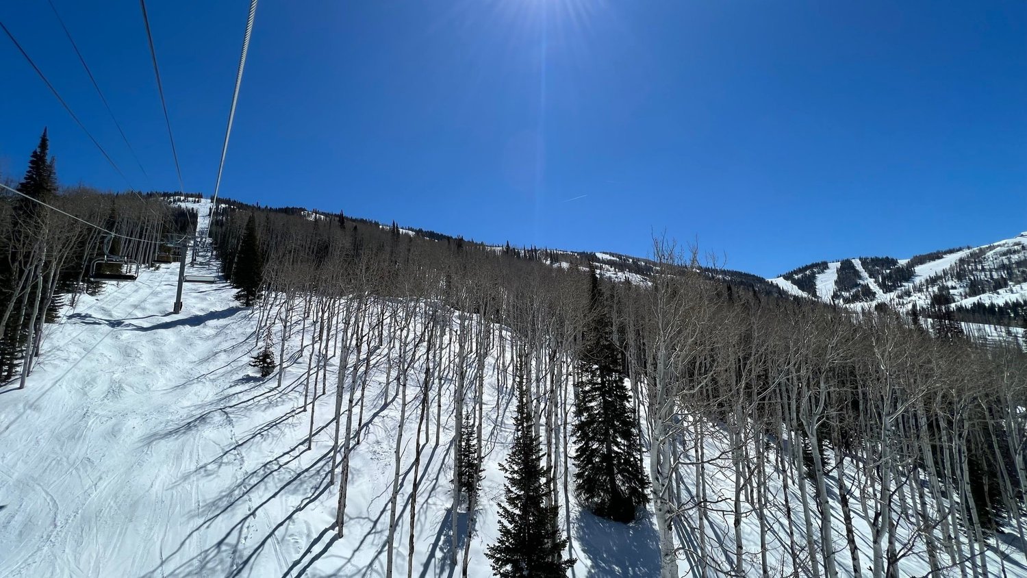 Mountain Review: Steamboat Mountain Review: Steamboat