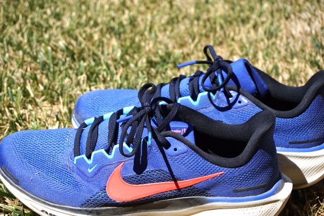 Nike Pegasus 41 Shoe Review