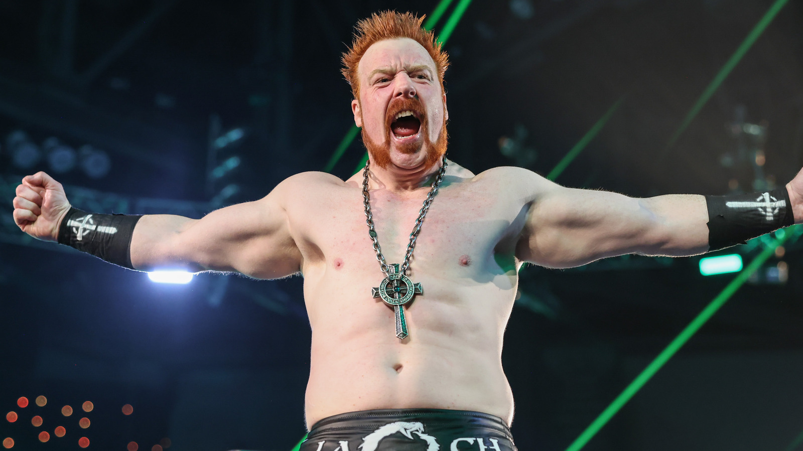 Why WWE Stars Don't Have To Worry About Sheamus 'Complaining'