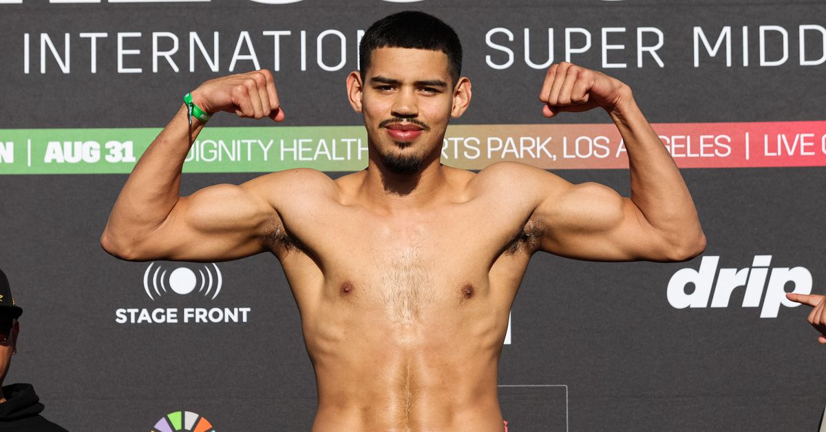 Highlights: Diego Pacheco finishes Maciej Sulecki by brutal 6th round body KO