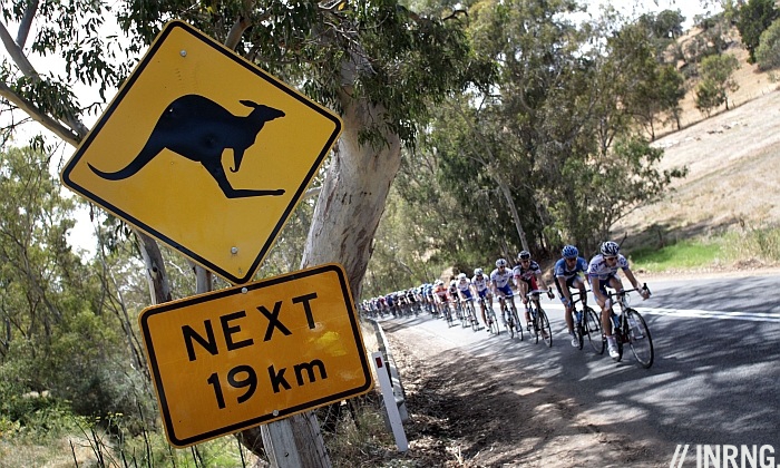 Tour Down Under Preview