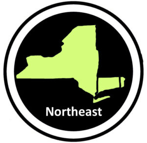 2023 Northeast All-Region Teams