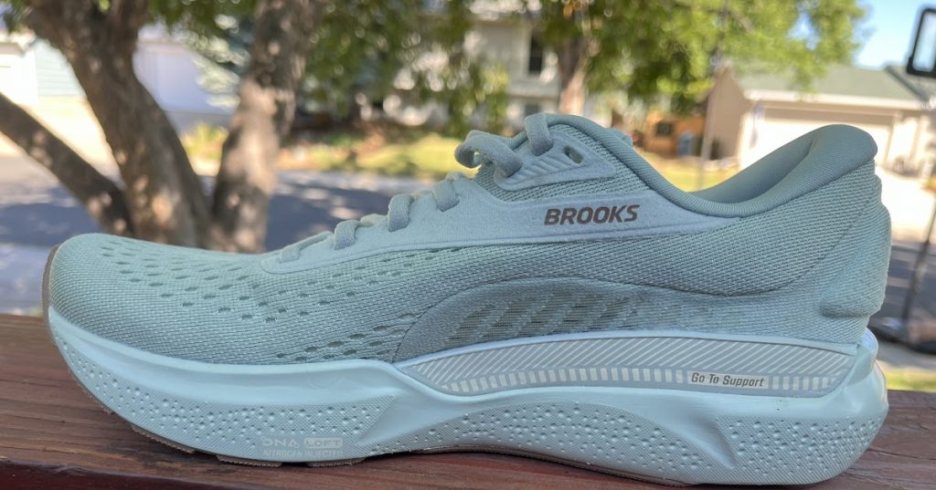 Brooks Brooks Adrenaline GTS 24 Review: 3 Comparisons Brooks Brooks Adrenaline GTS 24 Review: 3 Comparisons