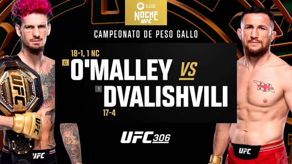 UFC 306 Highlights: Sean O'Malley vs. Merab Dvalishvili