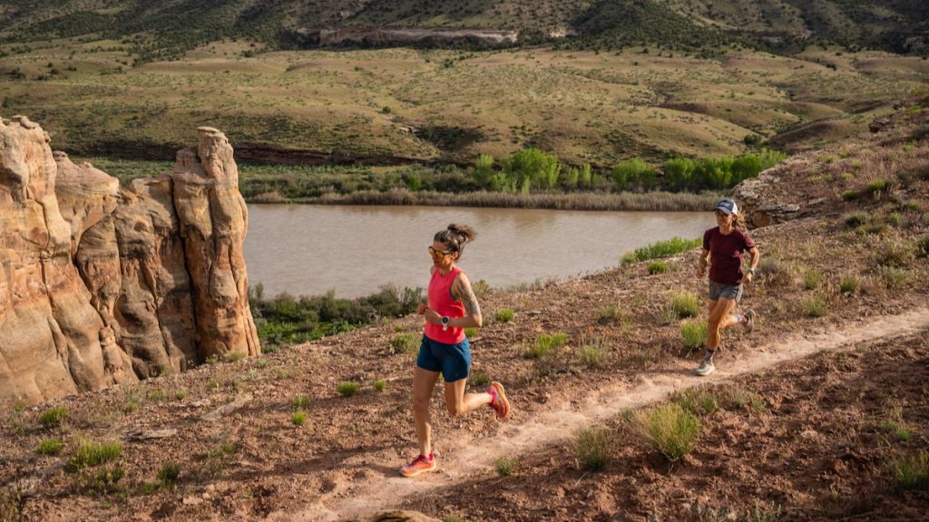 A Data-Driven Environmental Scan of the Trail and Ultra Coaching Industry