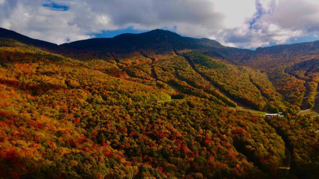 Autumn Adventures and Festive Fun