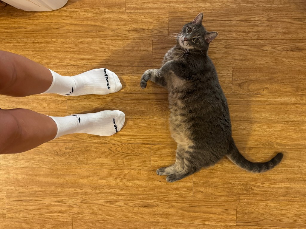 Swiftwick Socks Review: Do You Need Expensive Running Socks?