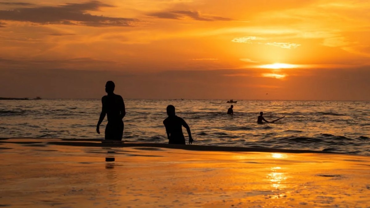 Swimmers Warned of Rise in Sewage Along Sydney Beaches | Sky News Australia