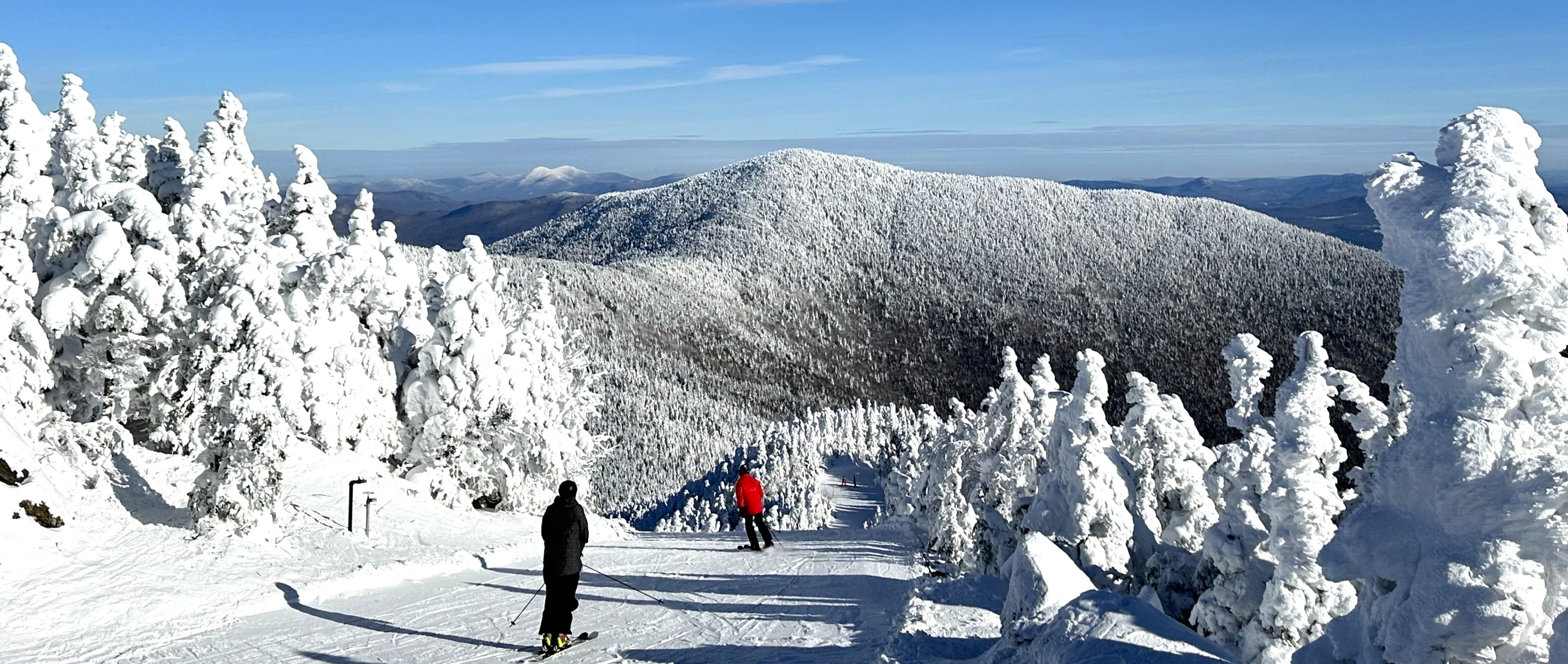 Winter wonderland