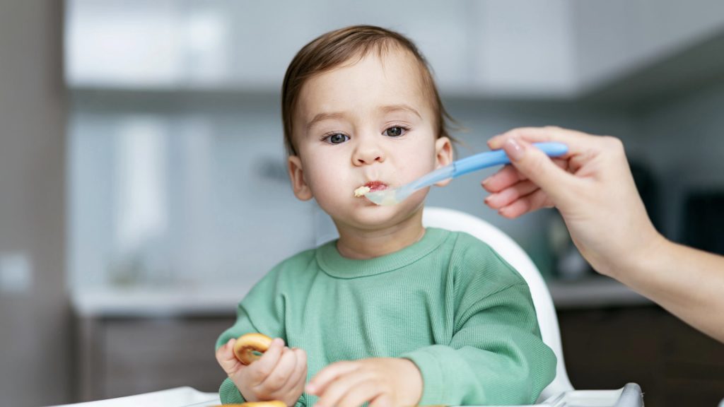Healthy Snacks for Babies: 7 Essential Nutrients and Safety Tips Healthy Snacks for Babies: 7 Essential Nutrients and Safety Tips