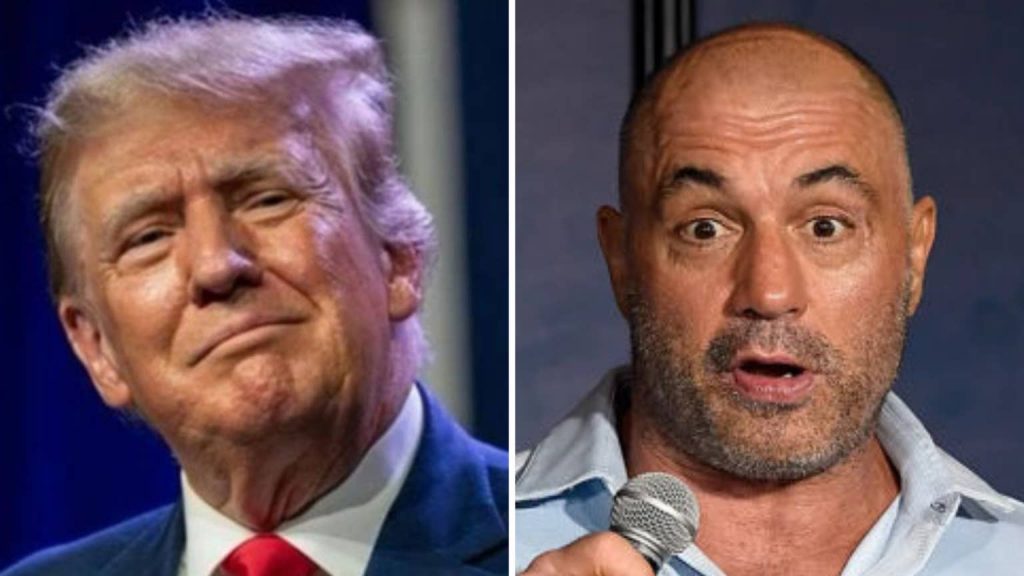 Joe Rogan endorses Donald Trump, Trump responds Joe Rogan endorses Donald Trump, Trump responds
