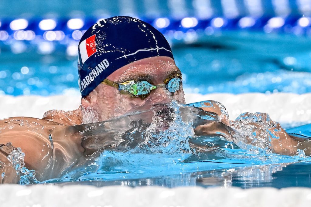 Swimming’s World Cup Proving Valuable Hub For Autumn Racing