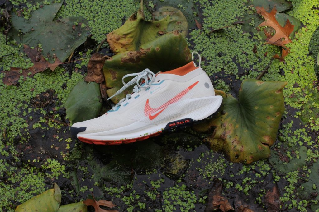 Nike Pegasus Trail 5 GTX Review: All-Weather Workhorse