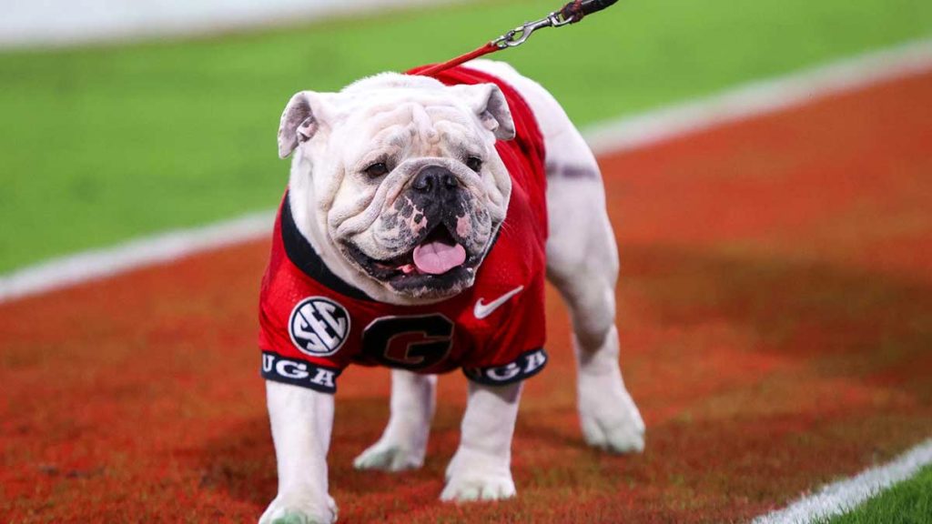 Georgia Bulldogs fan, WWE star Cody Rhodes named College GameDay guest picker