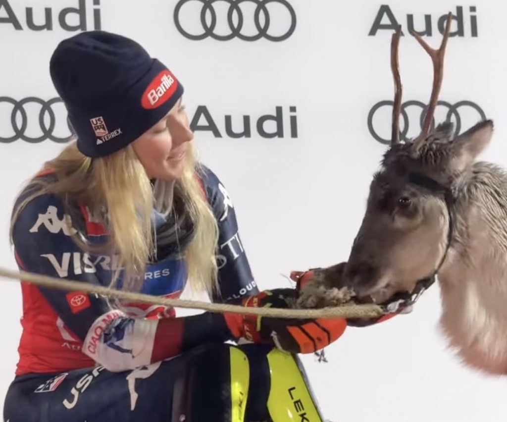 Mikaela Shiffrin Names New Reindeer “Rori” Short For Aurora Borealis Mikaela Shiffrin Names New Reindeer “Rori” Short For Aurora Borealis