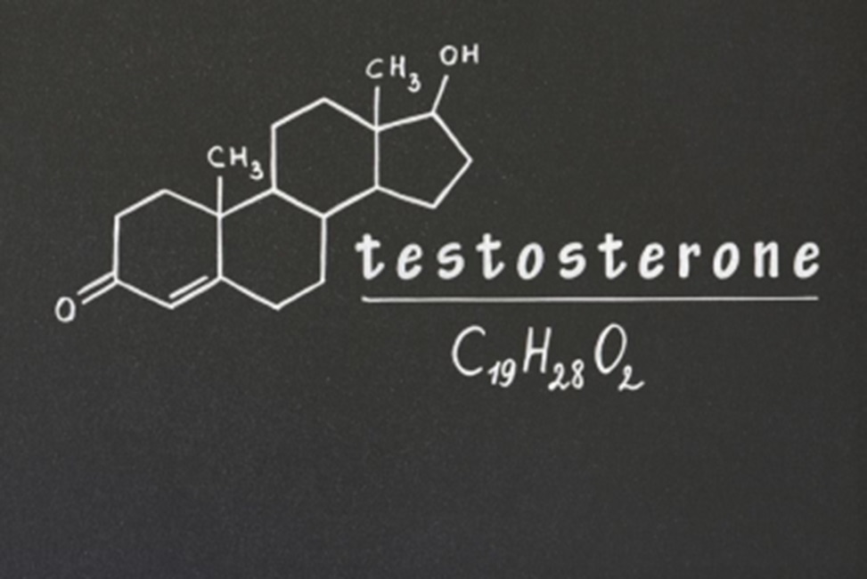 Kratom and Testosterone: Benefits and Effects of This Herbal Supplement