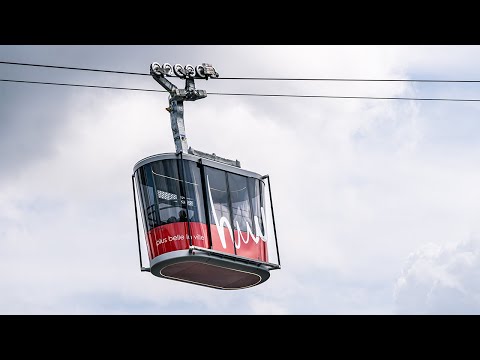 News Roundup: Mega Order