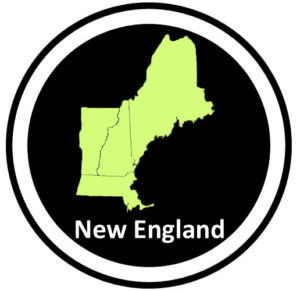 2023 New England All-Region Teams
