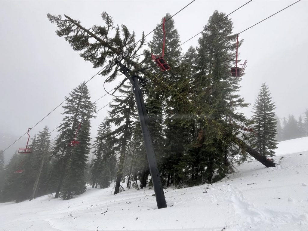 Fallen Tree Damages Pivotal Chairlift At Oregon Ski Area