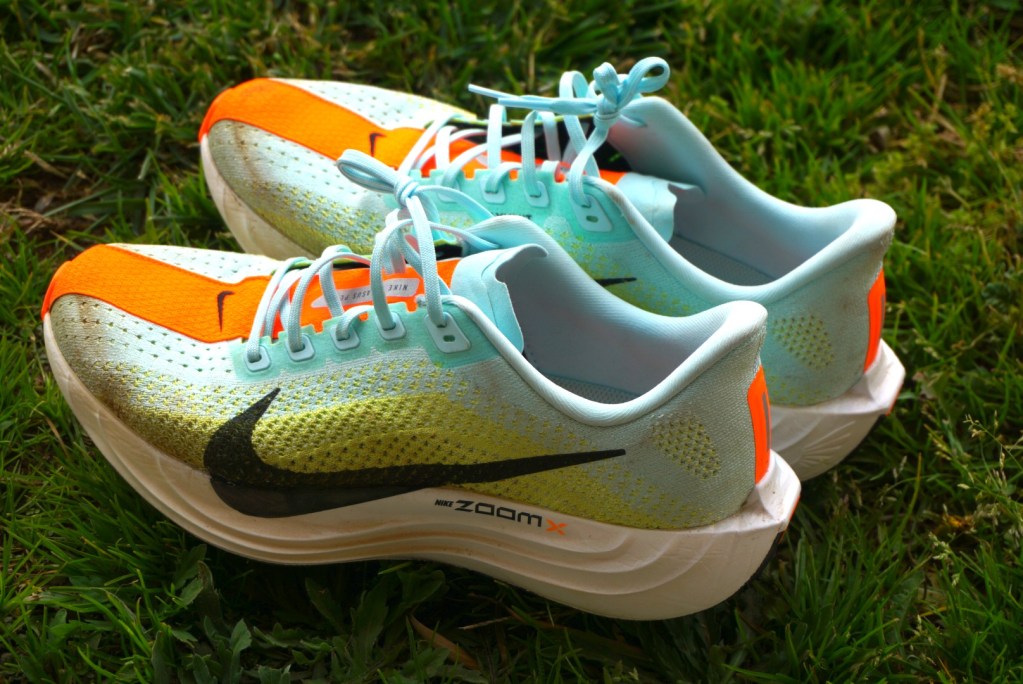 Nike Pegasus Plus Shoe Review