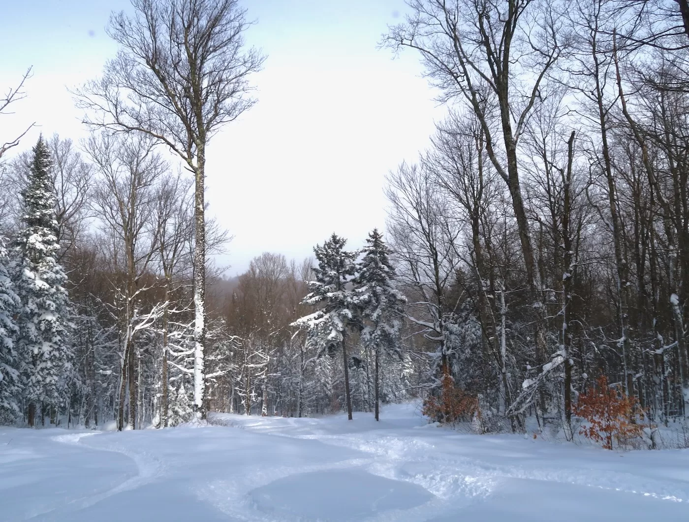 Titus Mountain: Cold Powder Titus Mountain: Cold Powder