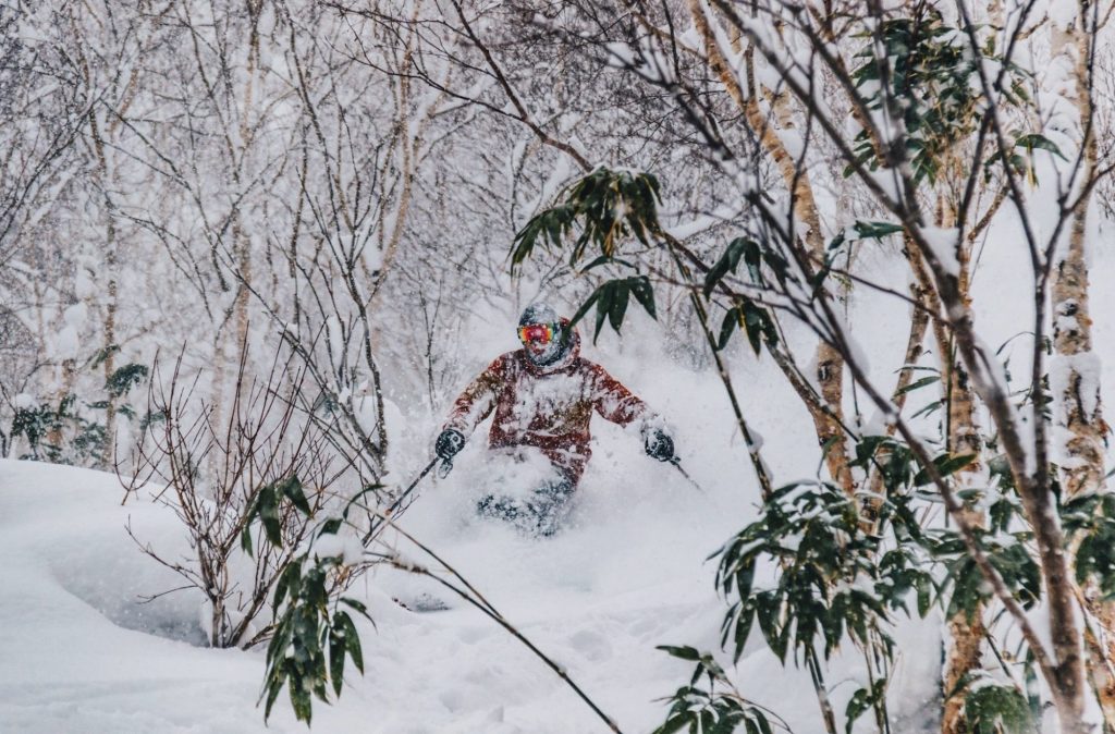 Tree Skiing Tree Skiing