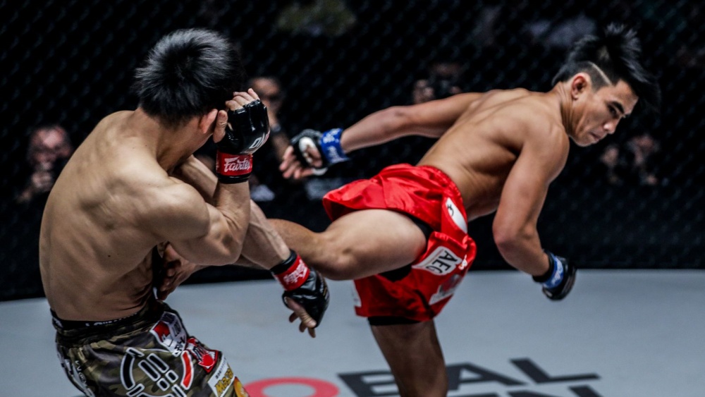 5 Unorthodox Strikes That Took MMA by Surprise 5 Unorthodox Strikes That Took MMA by Surprise