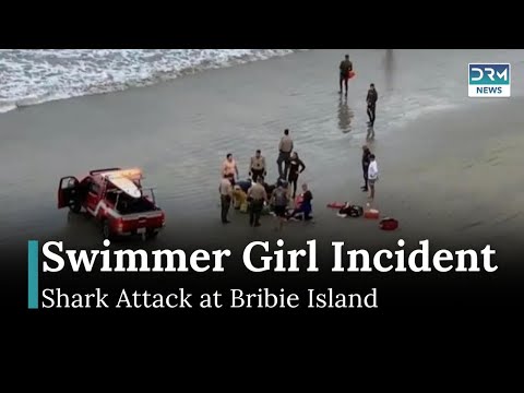 Shark Encounter Took Life of a Teenage Swimmer Girl on Australia’s Coast | DRM News Shark Encounter Took Life of a Teenage Swimmer Girl on Australia’s Coast | DRM News