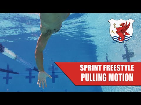 Sprint Freestyle | High Octane Pulling Motion | The Race Club