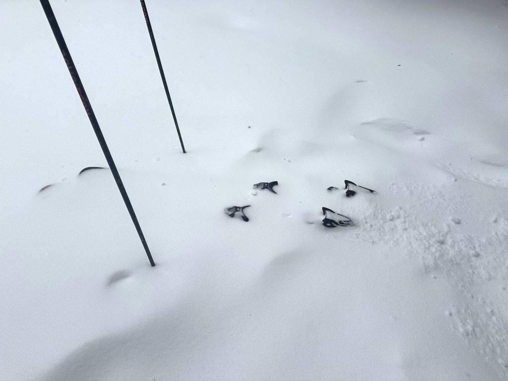 Let it snow Let it snow
