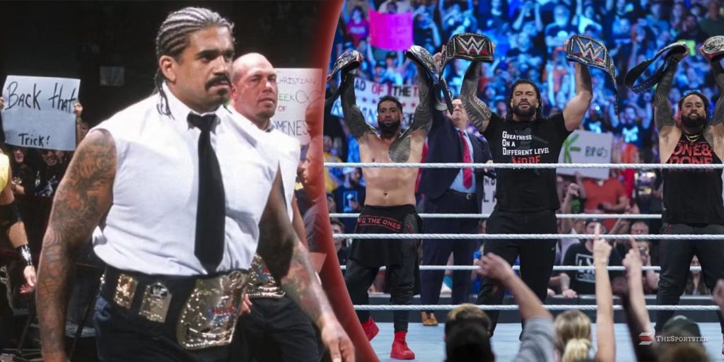 Wrestling Factions That Held Multiple Championships At The Same Time Wrestling Factions That Held Multiple Championships At The Same Time