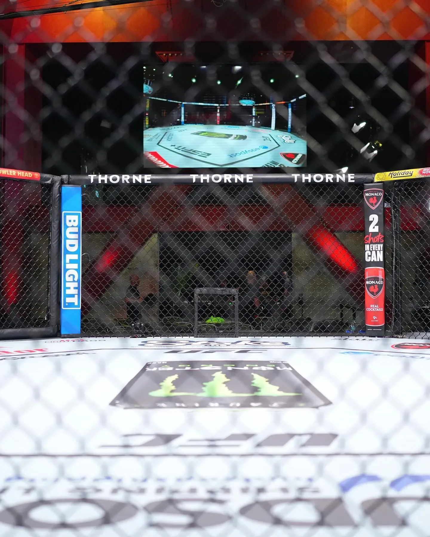 Previous UFC Interim Lightweight Champion Talks Dream Location of Retirement Fight