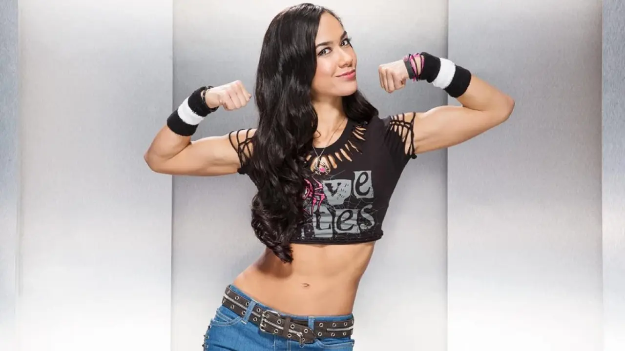 WWE Champion Wants AJ Lee Return: “I Can’t Retire Until She Comes Back” WWE Champion Wants AJ Lee Return: “I Can’t Retire Until She Comes Back”