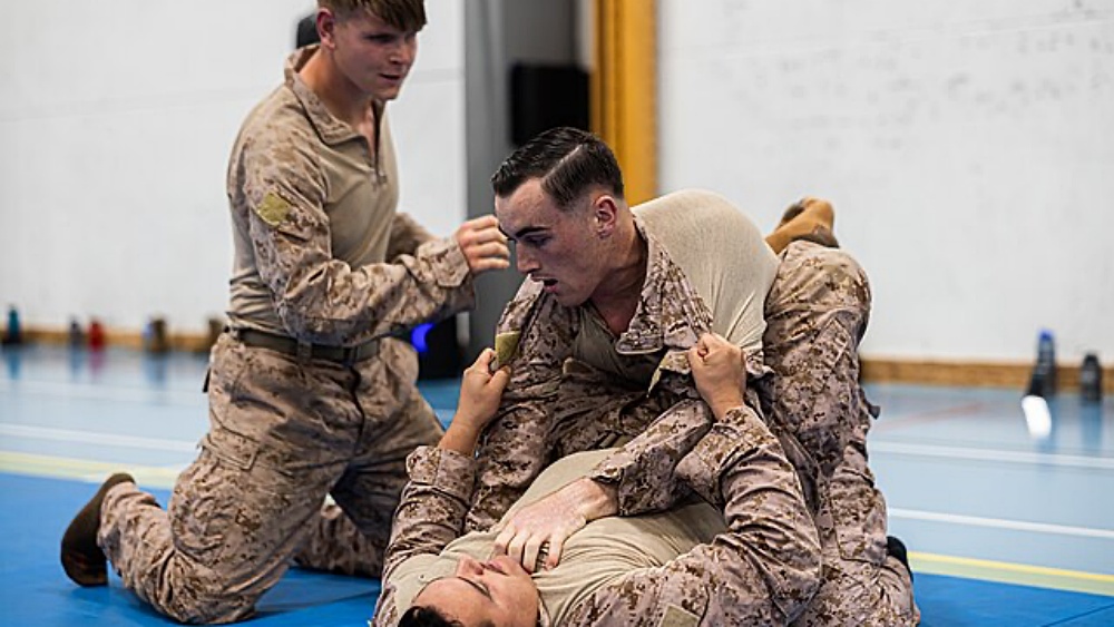 The Role Of Martial Arts In Military Training: Past And Present The Role Of Martial Arts In Military Training: Past And Present