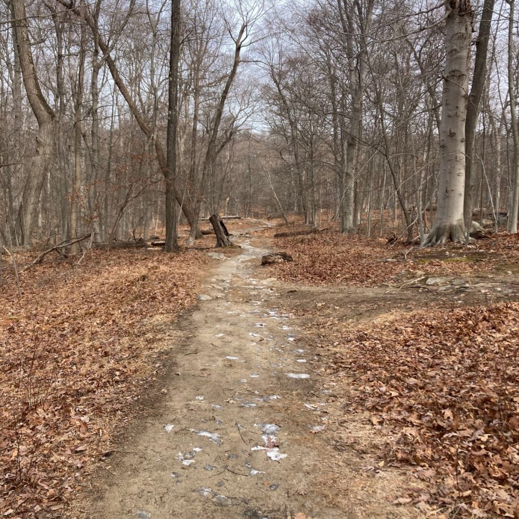 When The Trail’s Gone Cold When The Trail’s Gone Cold