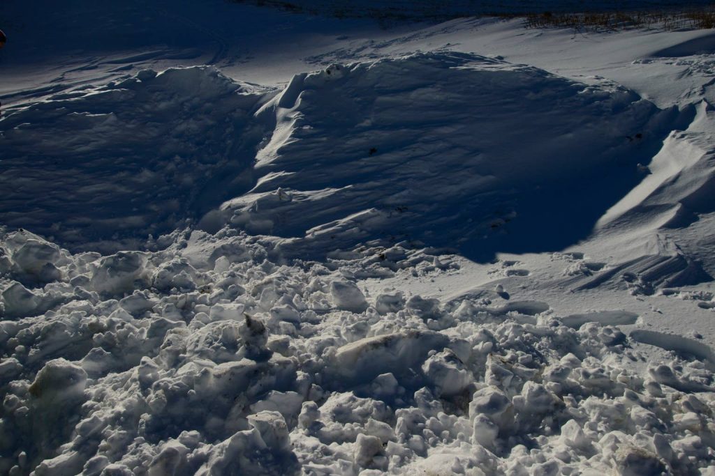 Seattle Skier Dies in Avalanche in Japan Seattle Skier Dies in Avalanche in Japan
