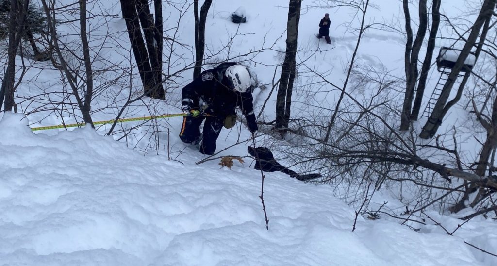 Dog Rescued From Snowy Ledge By Vermont Firefighters Dog Rescued From Snowy Ledge By Vermont Firefighters