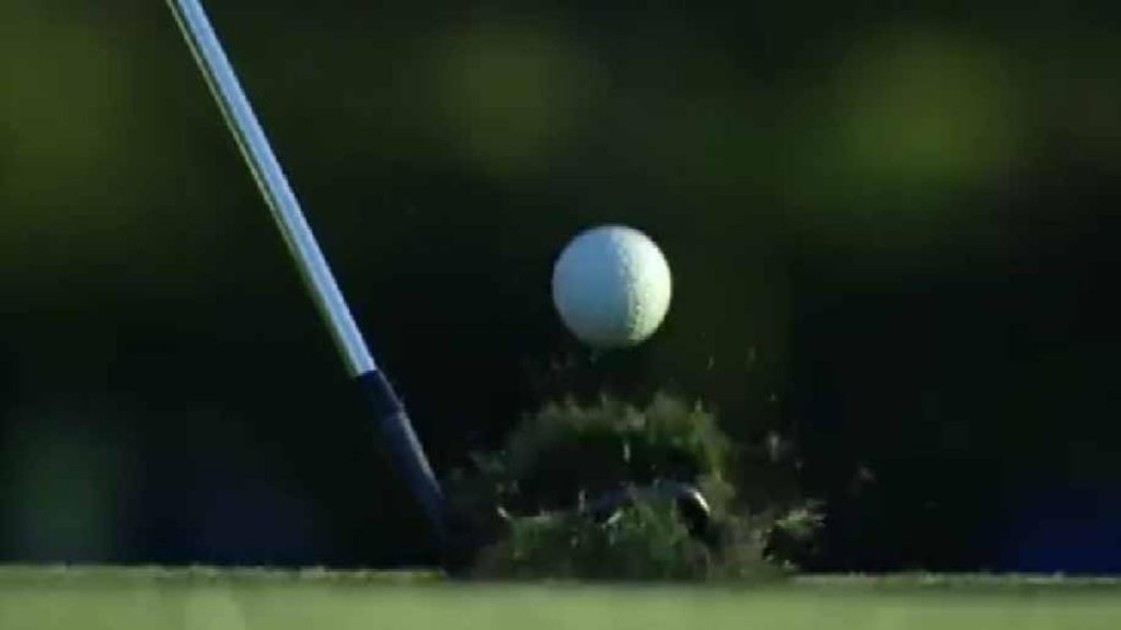 College, Fiorellini wins Bruin Wave Invitational