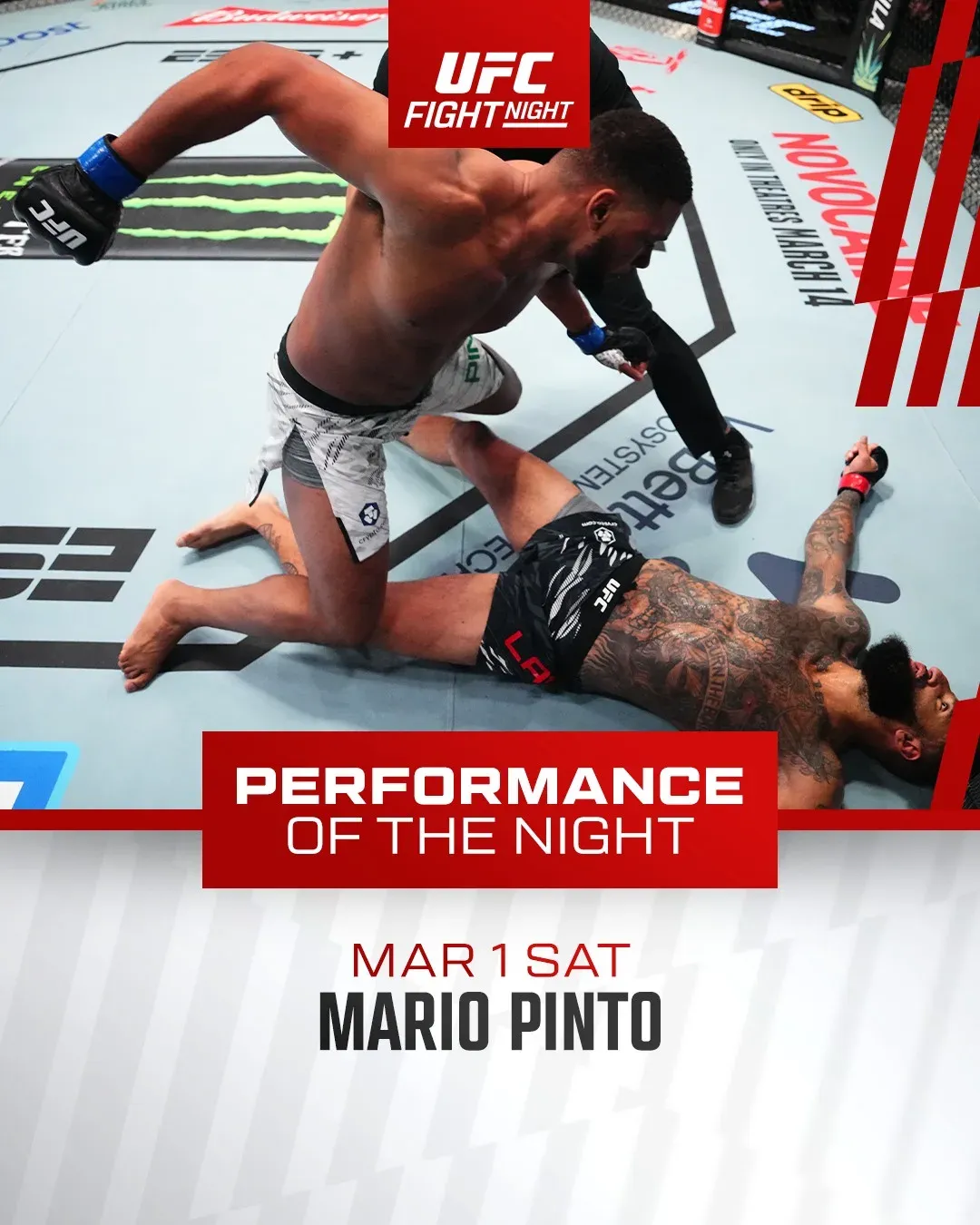 Debut Bout Proves Impressive for Contender Series Heavyweight Graduate Debut Bout Proves Impressive for Contender Series Heavyweight Graduate
