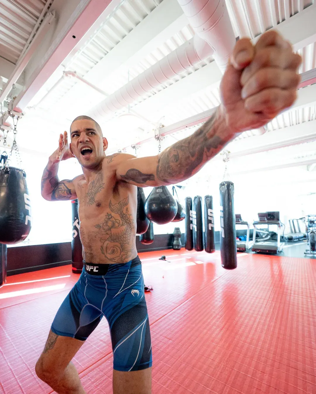 UFC 313 Results: Action-Packed Night in Las Vegas UFC 313 Results: Action-Packed Night in Las Vegas