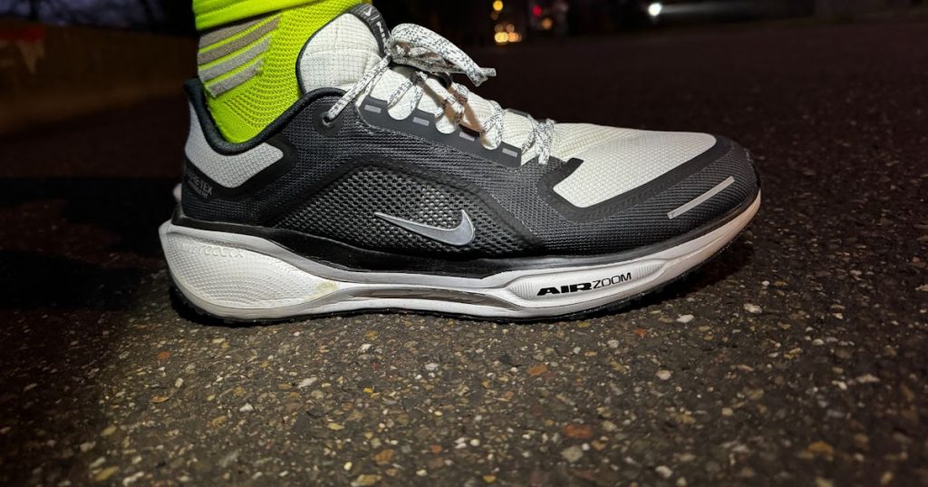 Testbericht: Nike Pegasus 41 GTX – Die Definition eines Gravel-Schuhs (German) Testbericht: Nike Pegasus 41 GTX – Die Definition eines Gravel-Schuhs (German)