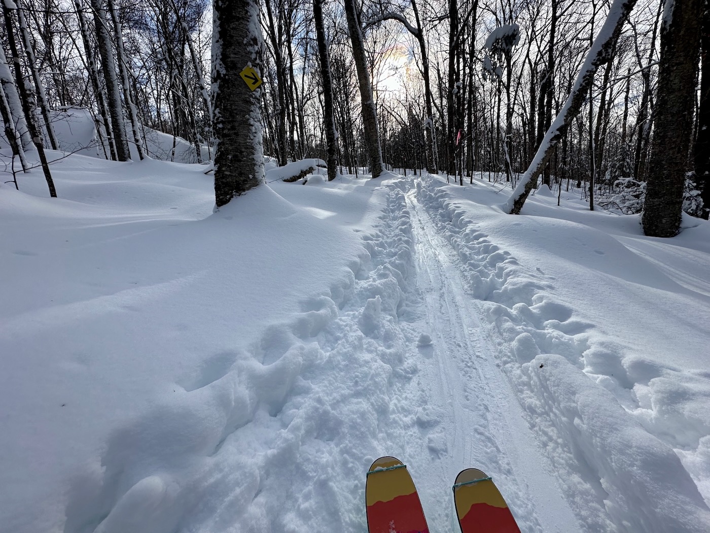 Mont Catherine: On the Road, Past the Liftline