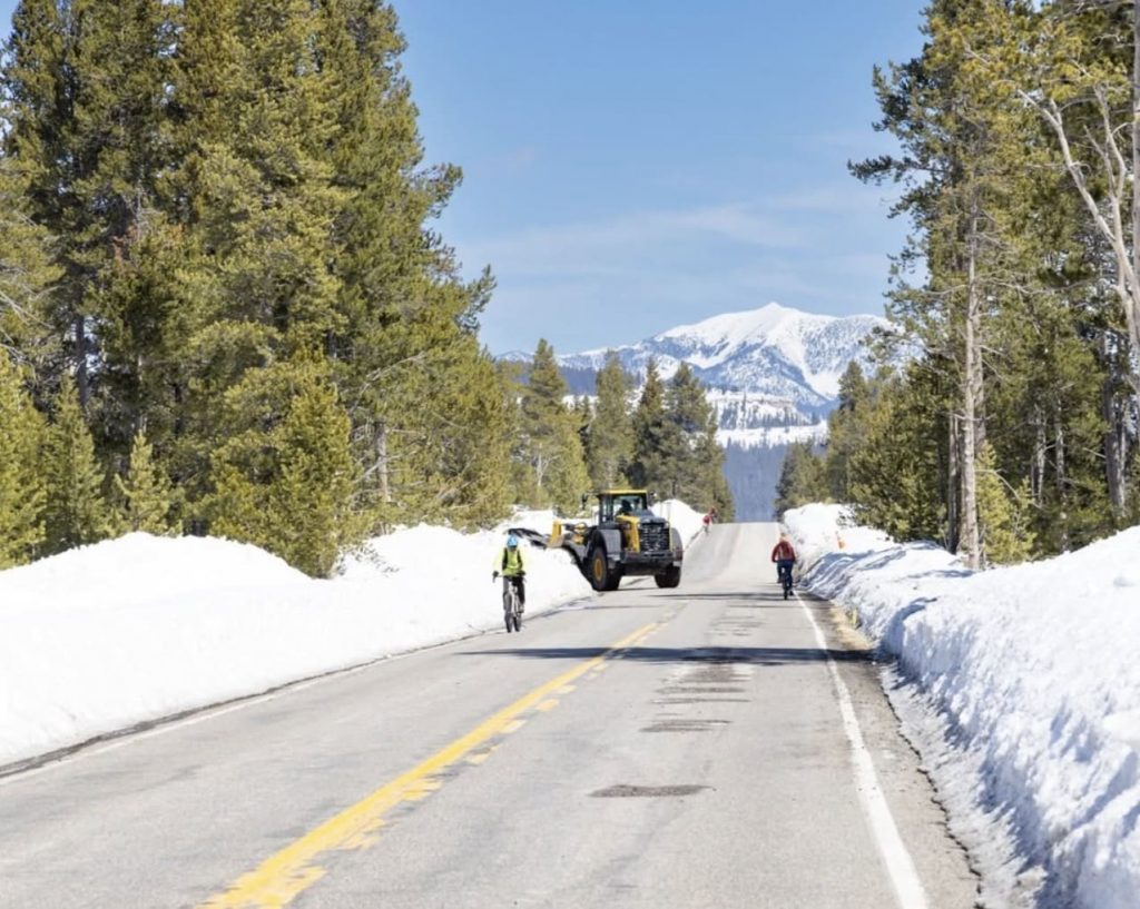 49 Miles of Road Are Now Open To Cyclists Only @ Yellowstone National Park