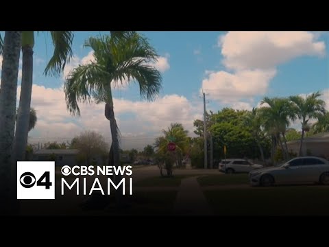 8-Year-Old Drowns During North Lauderdale House Party | CBS Miami 8-Year-Old Drowns During North Lauderdale House Party | CBS Miami