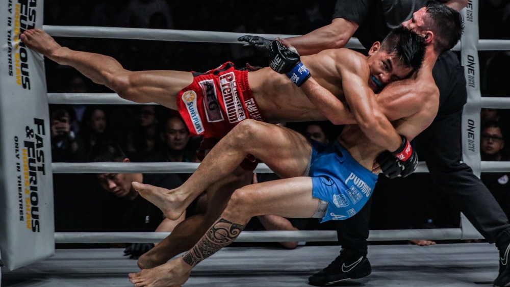 Wrestling For Non-Wrestlers: Essential Takedown Strategies For MMA And BJJ Practitioners Wrestling For Non-Wrestlers: Essential Takedown Strategies For MMA And BJJ Practitioners