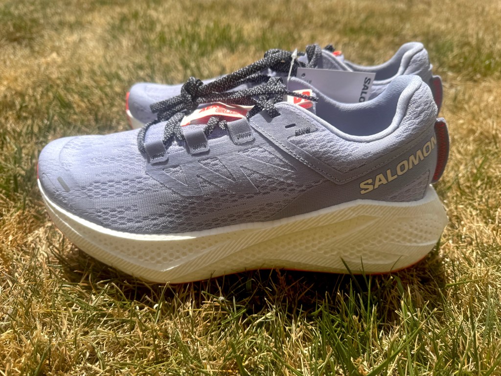 Salomon Aero Glide 3 Shoe Review Salomon Aero Glide 3 Shoe Review